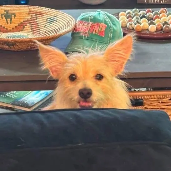 Charlie thumbnail 2