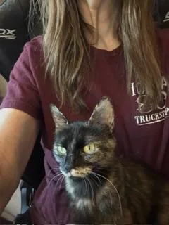 Pistachio
