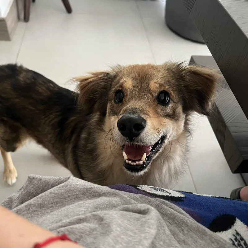 Invincible Simon thumbnail 2