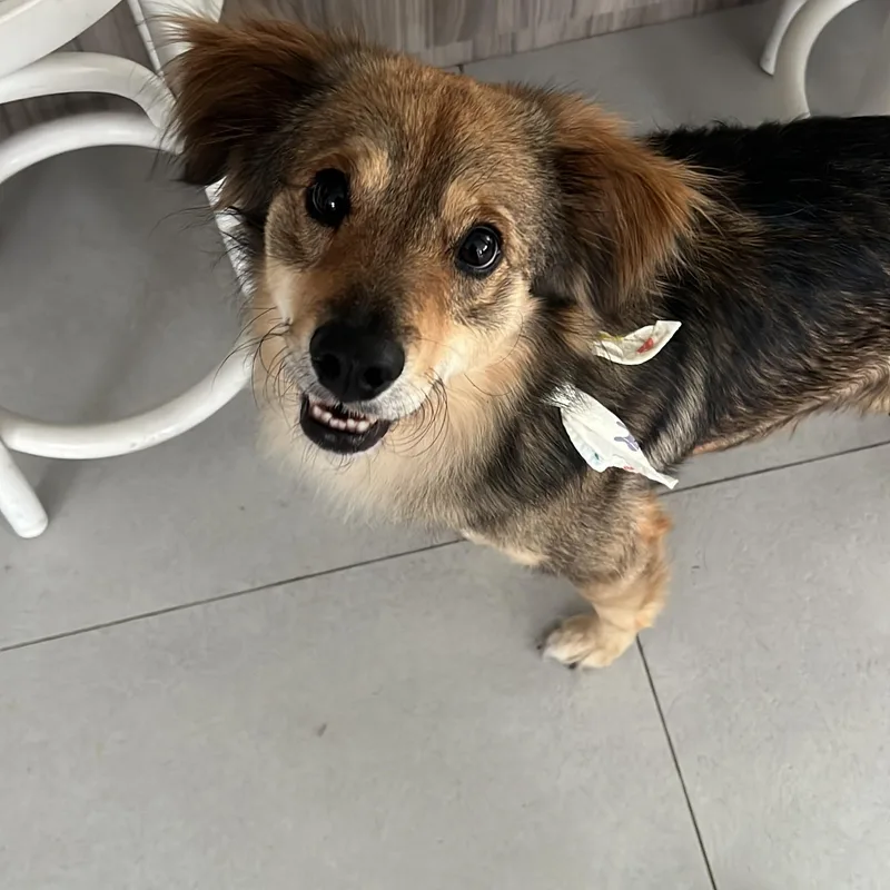 Invincible Simon thumbnail 3