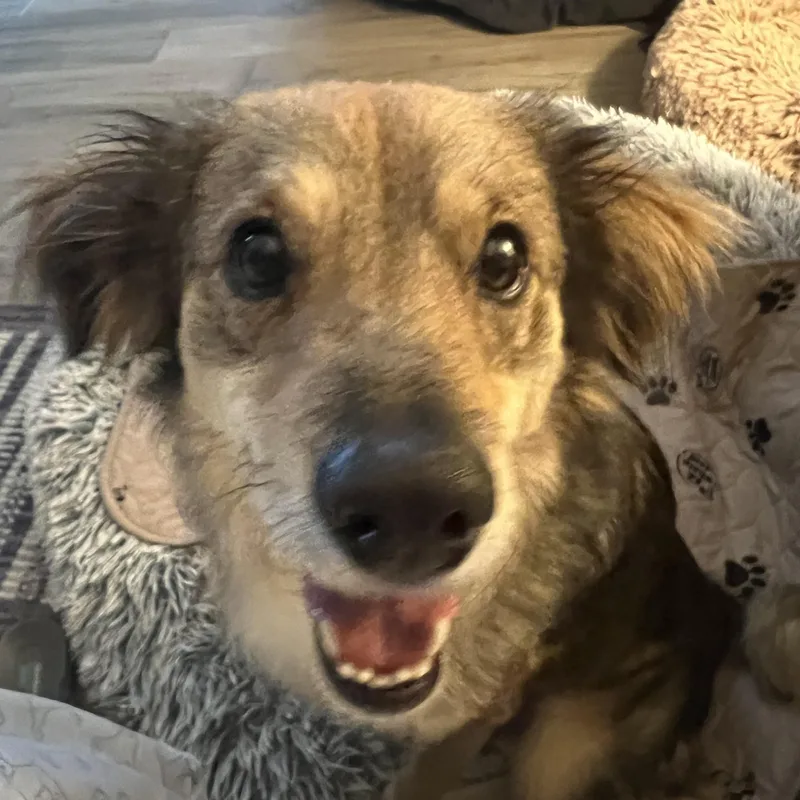 Invincible Simon thumbnail 4