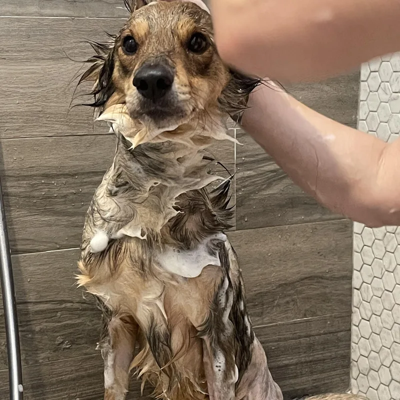 Invincible Simon thumbnail 5