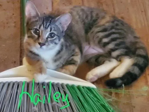 Hailey thumbnail 2