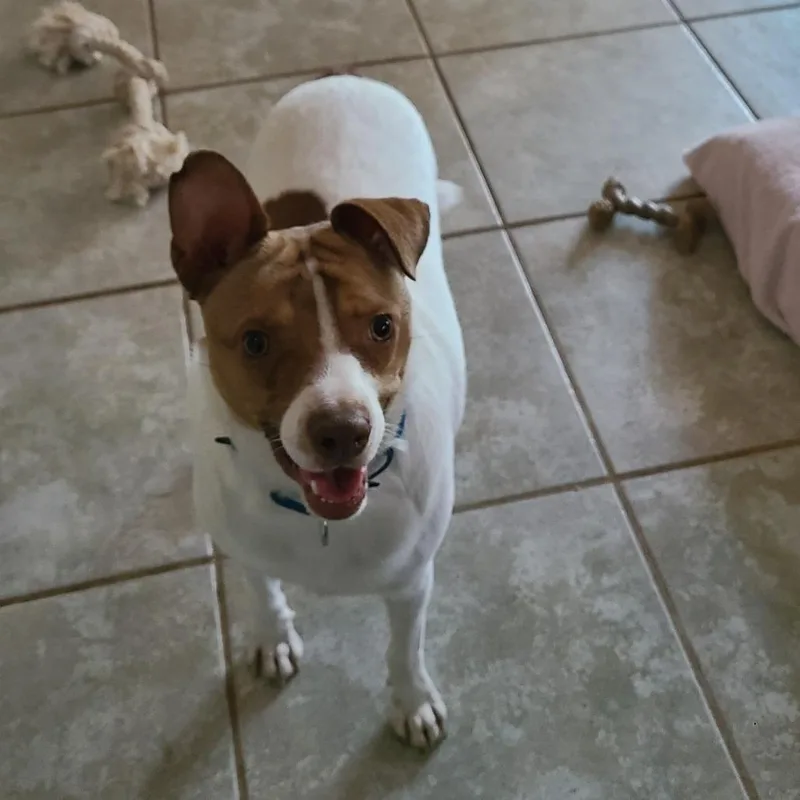 Mortimer thumbnail 2