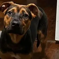 Ellie