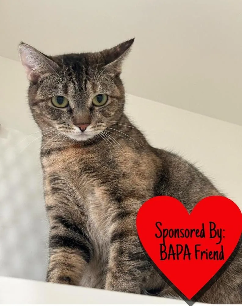 Mercedes thumbnail 4