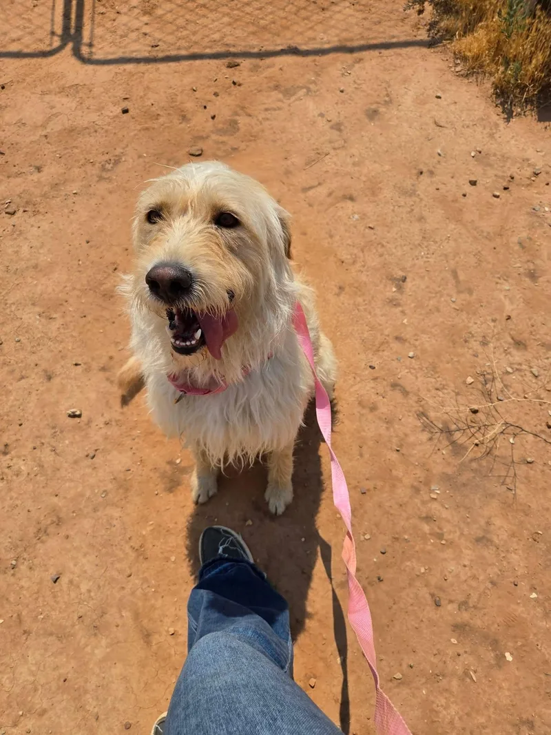 Millie