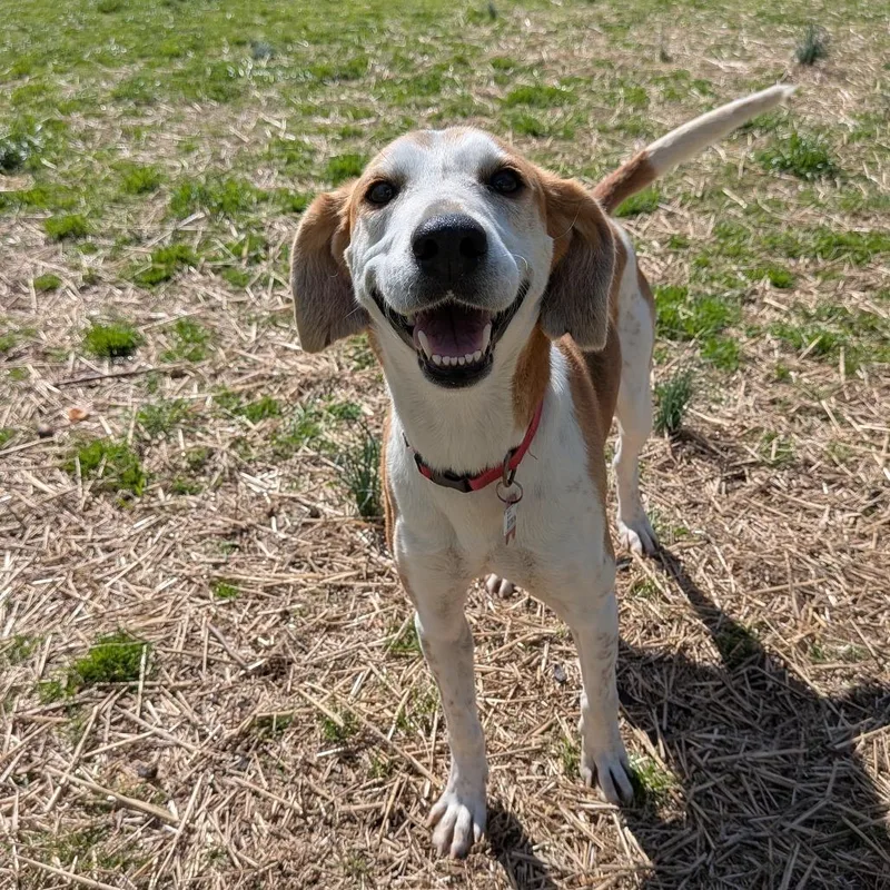 Southpaw thumbnail 2