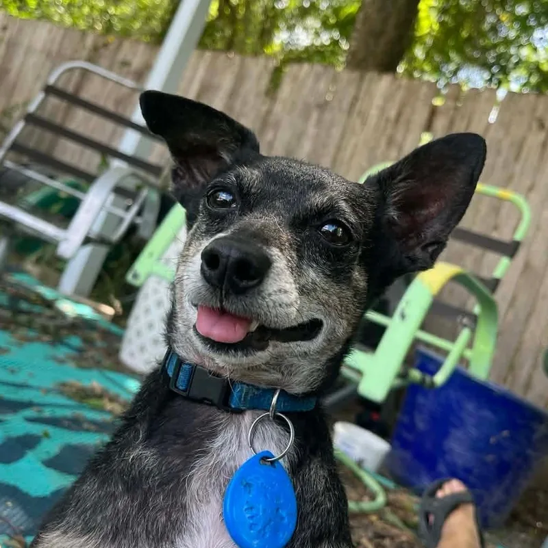 Benito