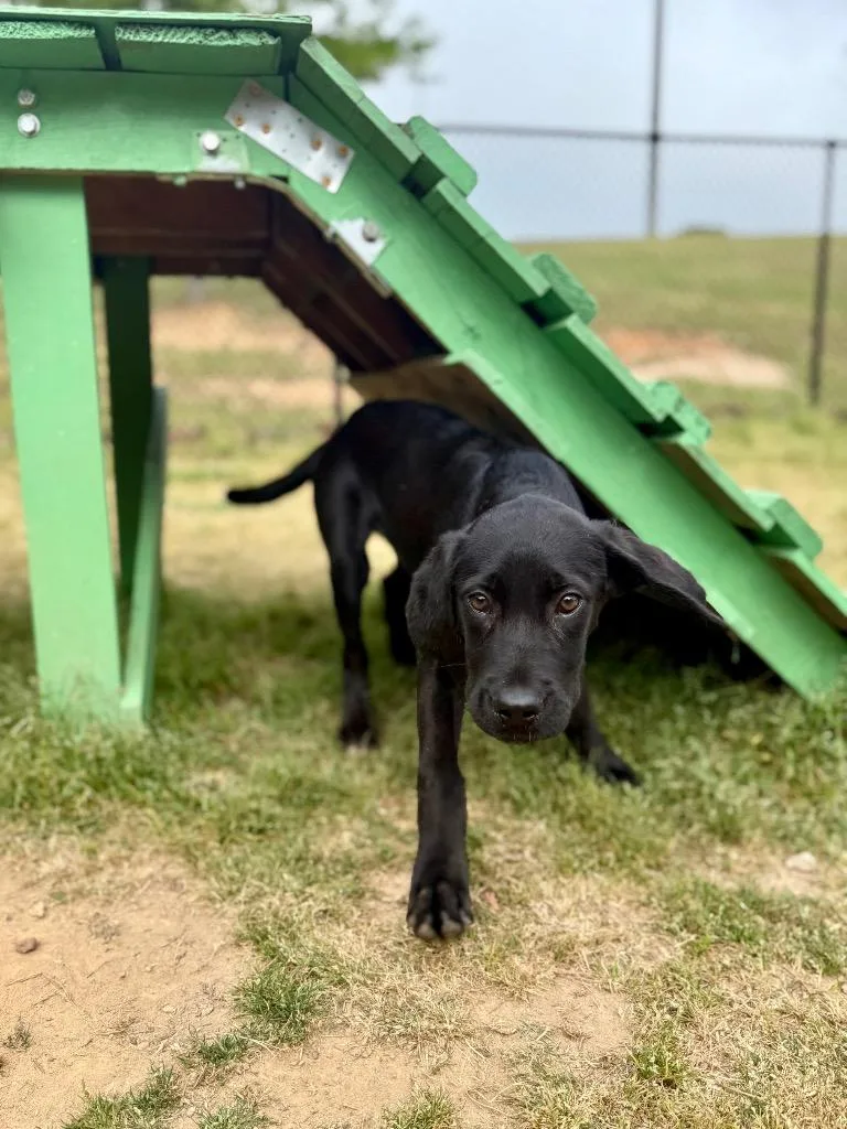 Chaquila thumbnail 3