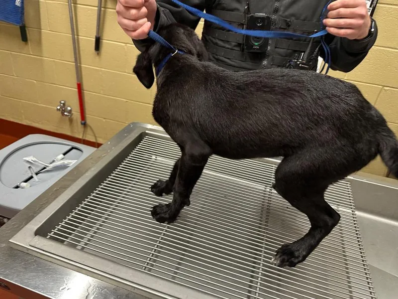 Chaquila thumbnail 5