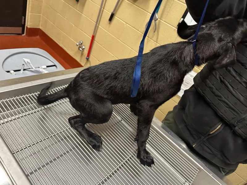 Chaquila thumbnail 6