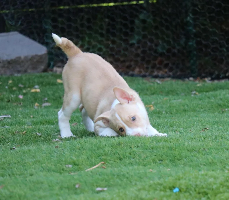 Hope  Courtesy Listing