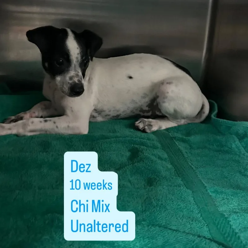 Dez