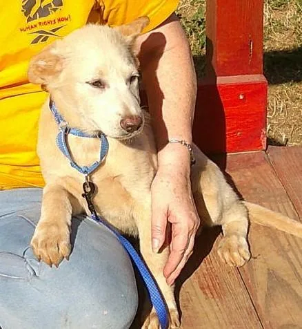 Kodiak...couch Potato thumbnail 2