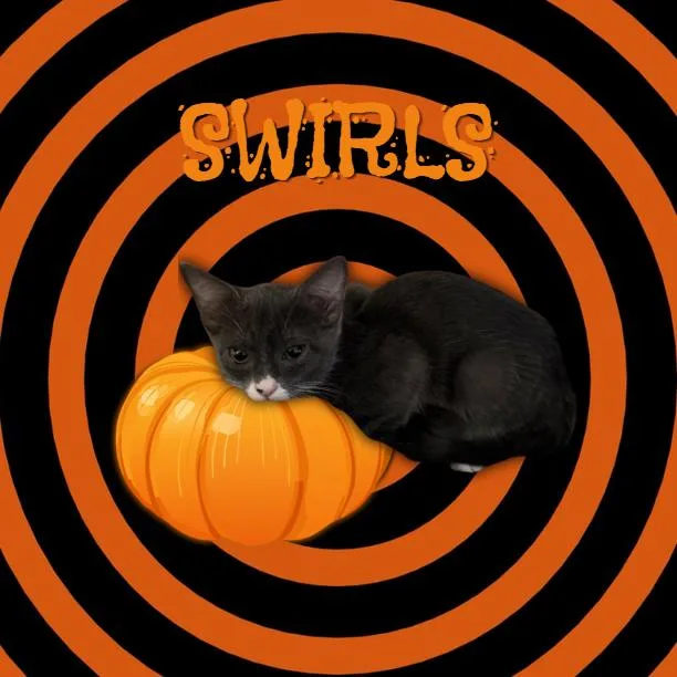 Swirls thumbnail 3