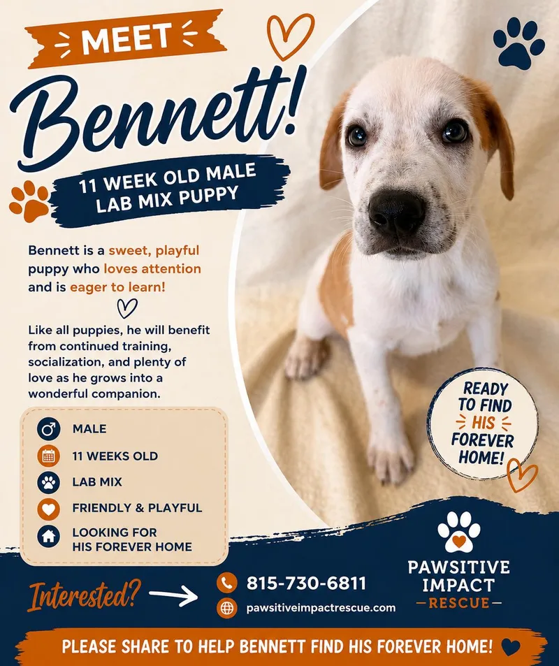 Bennett thumbnail 3