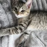 Melody thumbnail 3