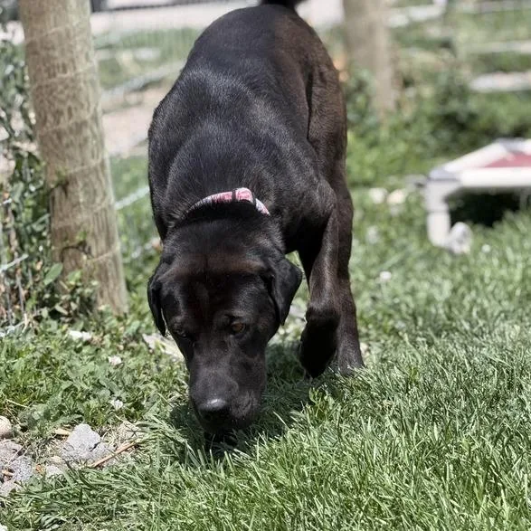 Fiji thumbnail 4