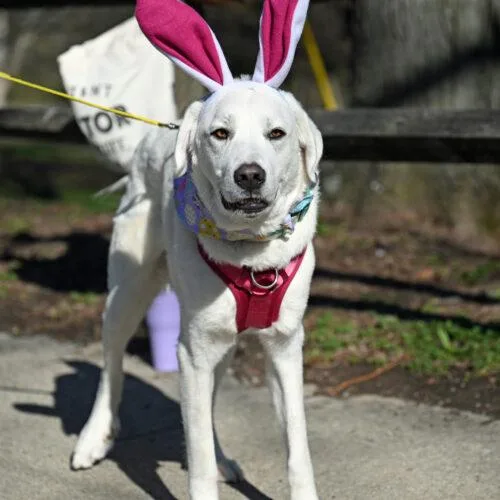 Daisy Mae thumbnail 3