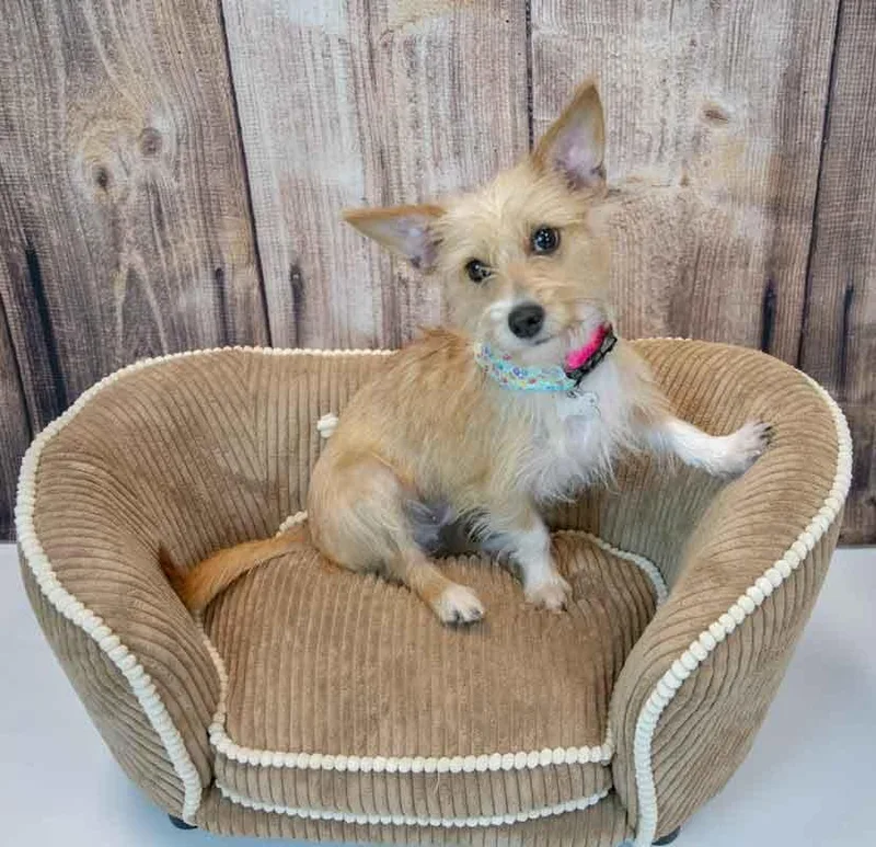 Bridgett thumbnail 2