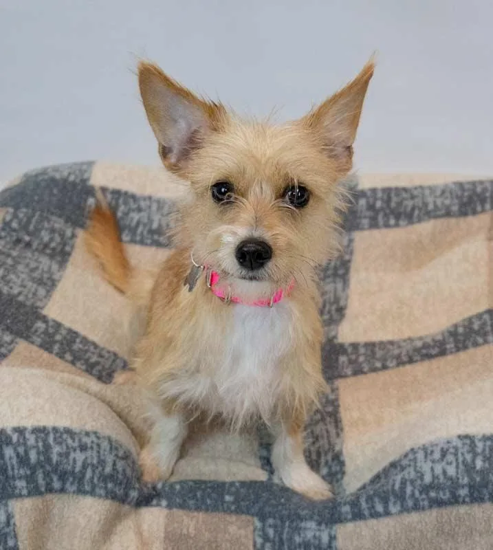 Bridgett thumbnail 3