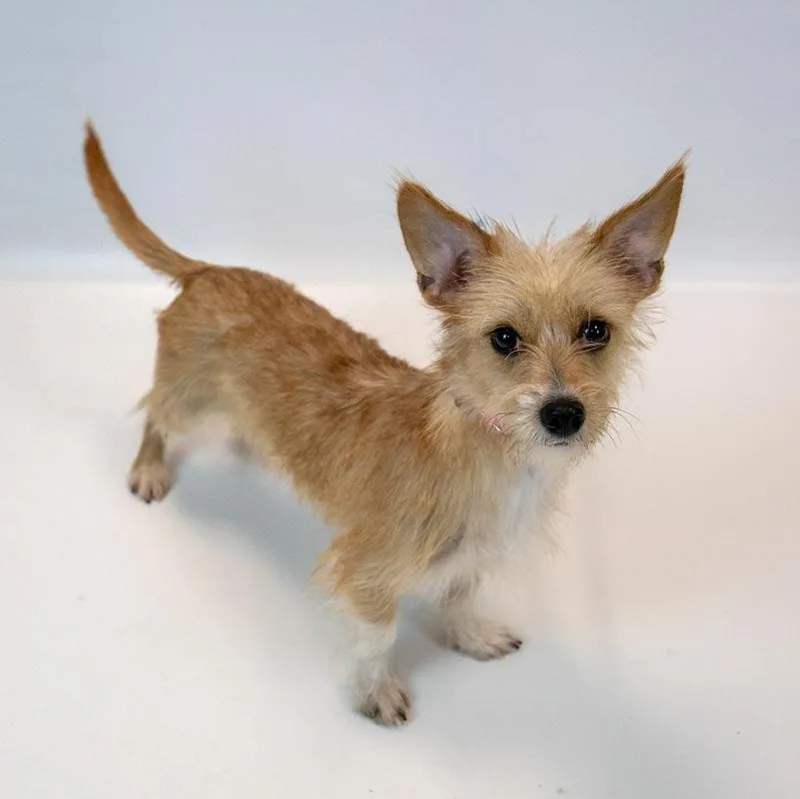 Bridgett thumbnail 5