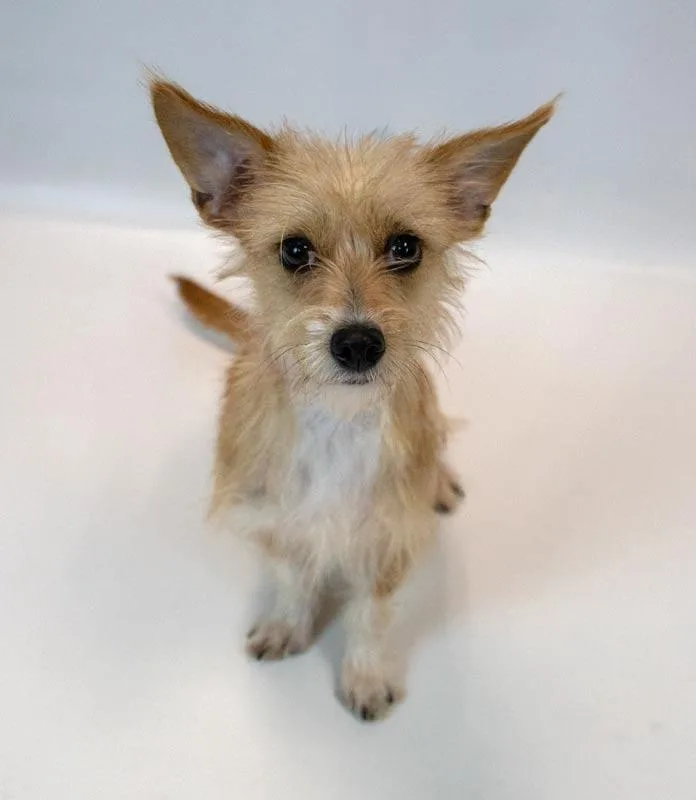 Bridgett thumbnail 6