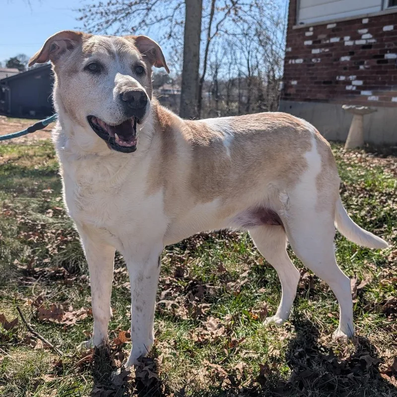 David Bowie thumbnail 4