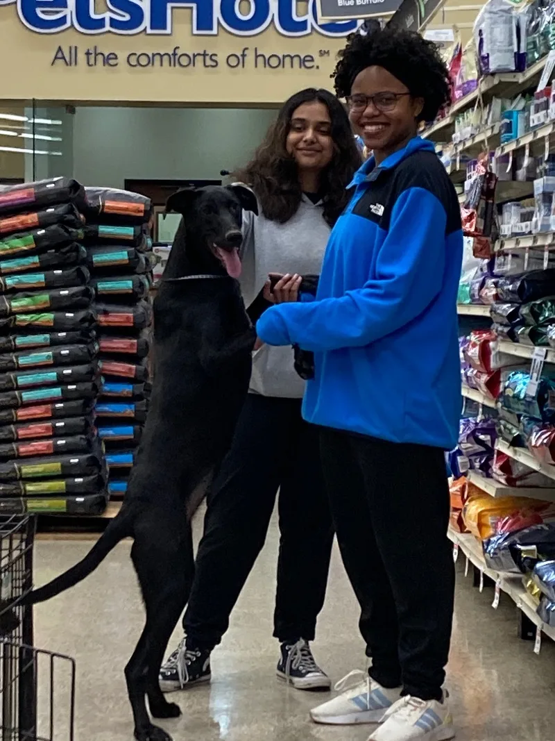 Penelope & Petunia thumbnail 3