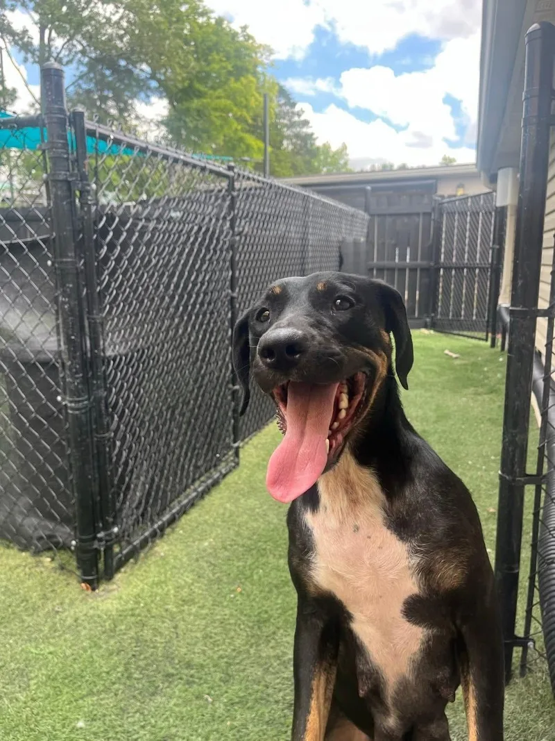 Momma Auburn thumbnail 3