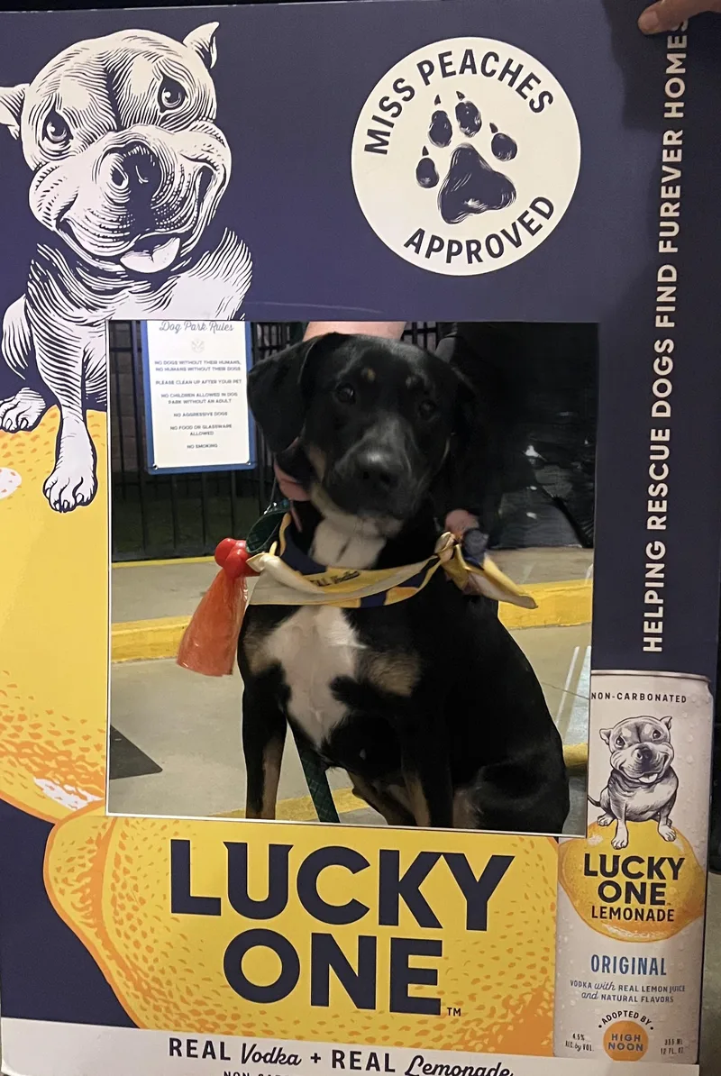 Momma Auburn thumbnail 5