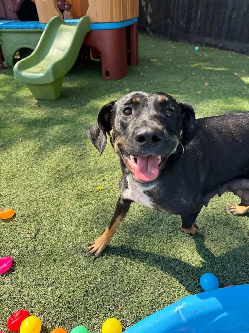 Momma Auburn thumbnail 6