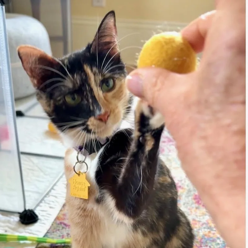 Valentina thumbnail 3