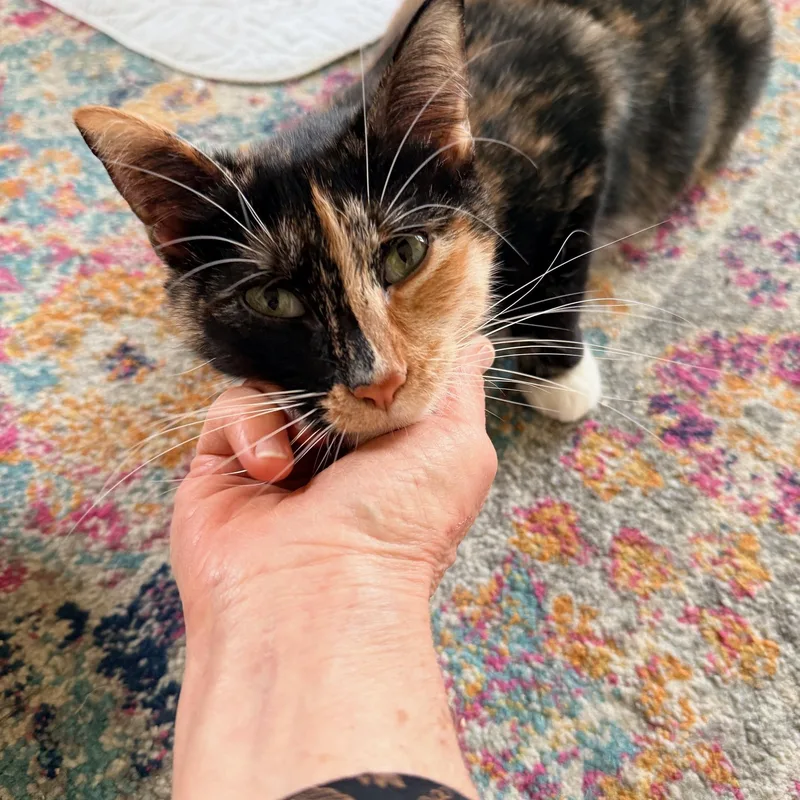 Valentina thumbnail 5