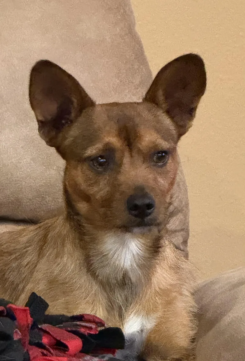 Hamilton thumbnail 2