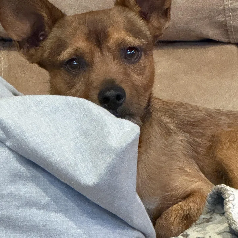 Hamilton thumbnail 3