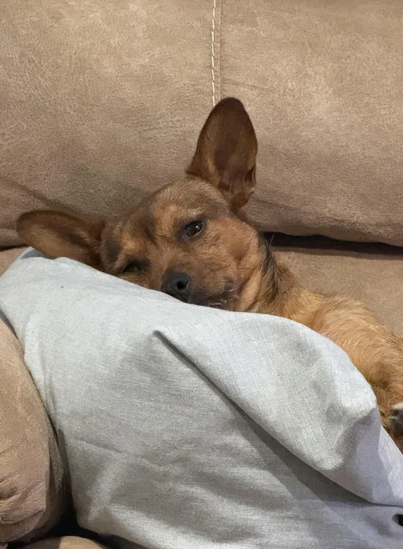 Hamilton thumbnail 4