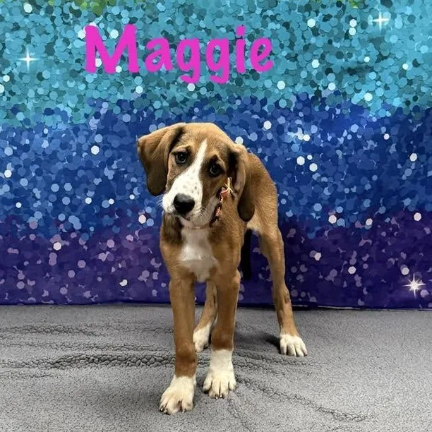 Maggie thumbnail 2