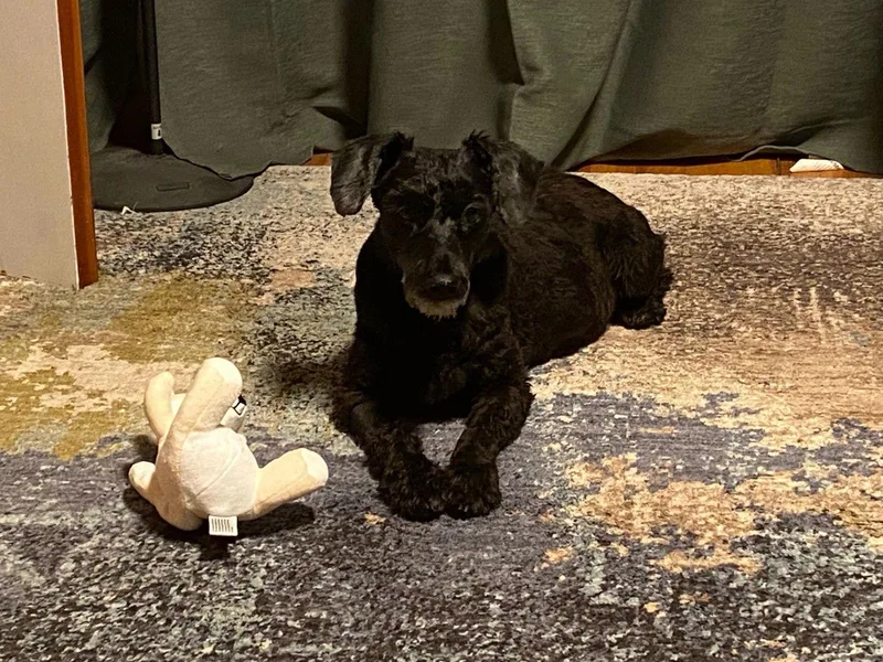 Zcldbig Man thumbnail 2