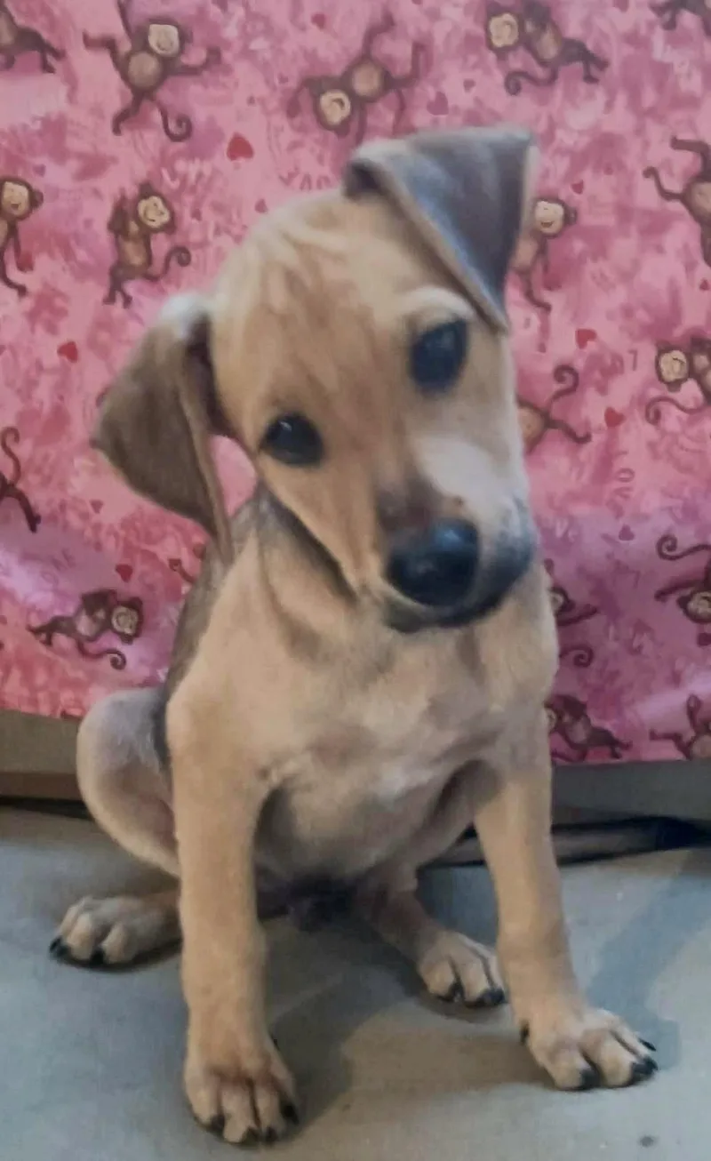 Randy "in New York thumbnail 2