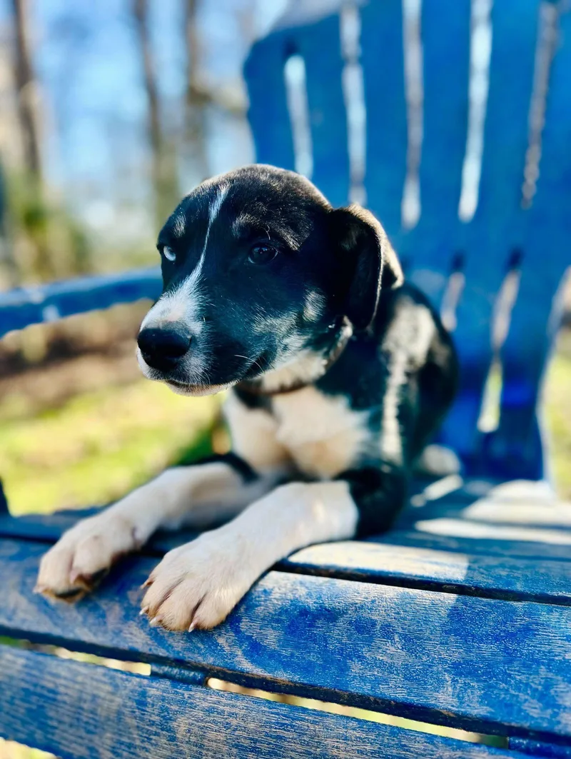 Mercedes Oct thumbnail 2