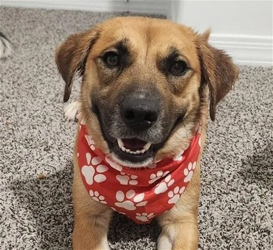 Ruby