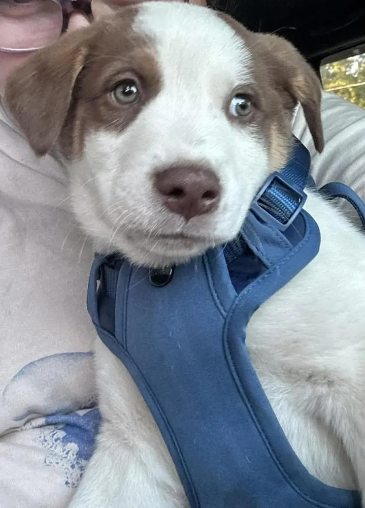 S’more thumbnail 2