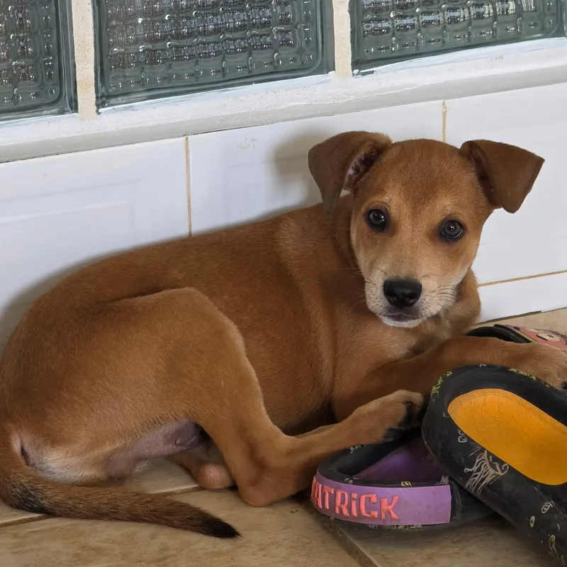 Enzo Matteo "you Found