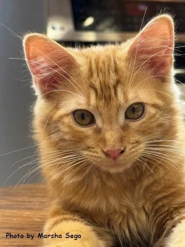 Rory
