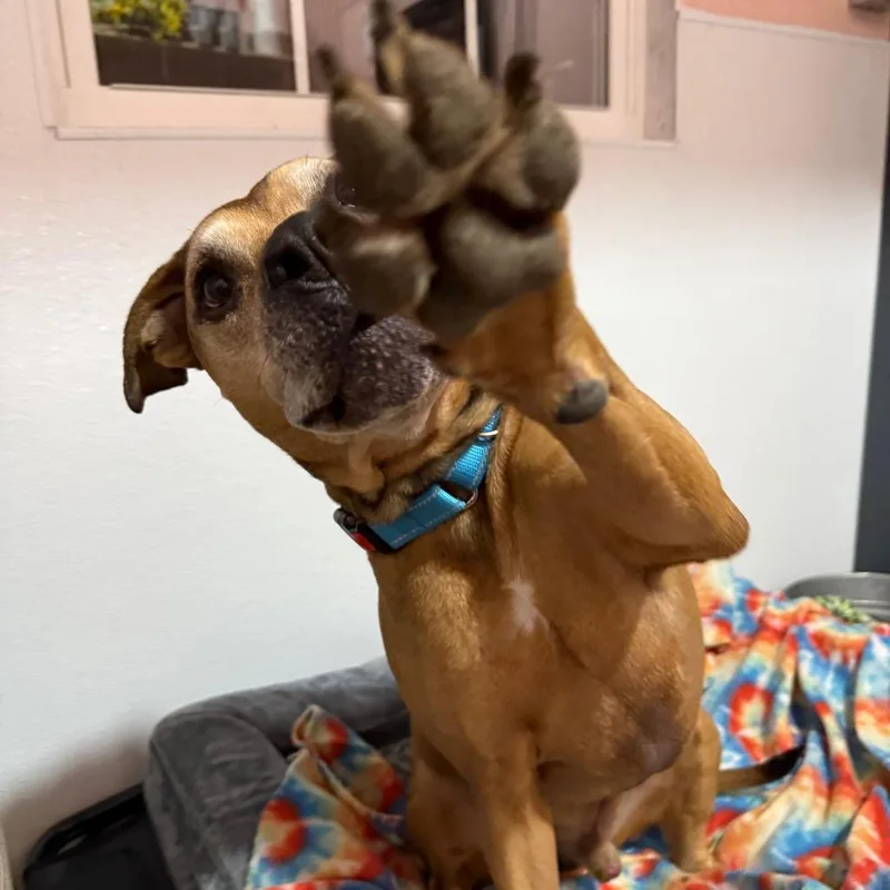 Brighton thumbnail 2