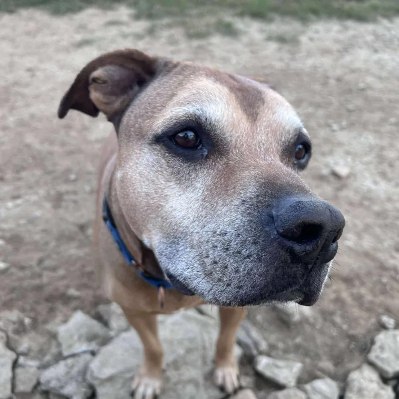 Brighton thumbnail 3