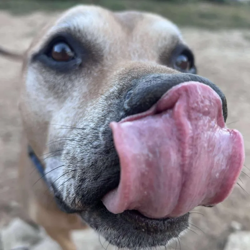 Brighton thumbnail 4