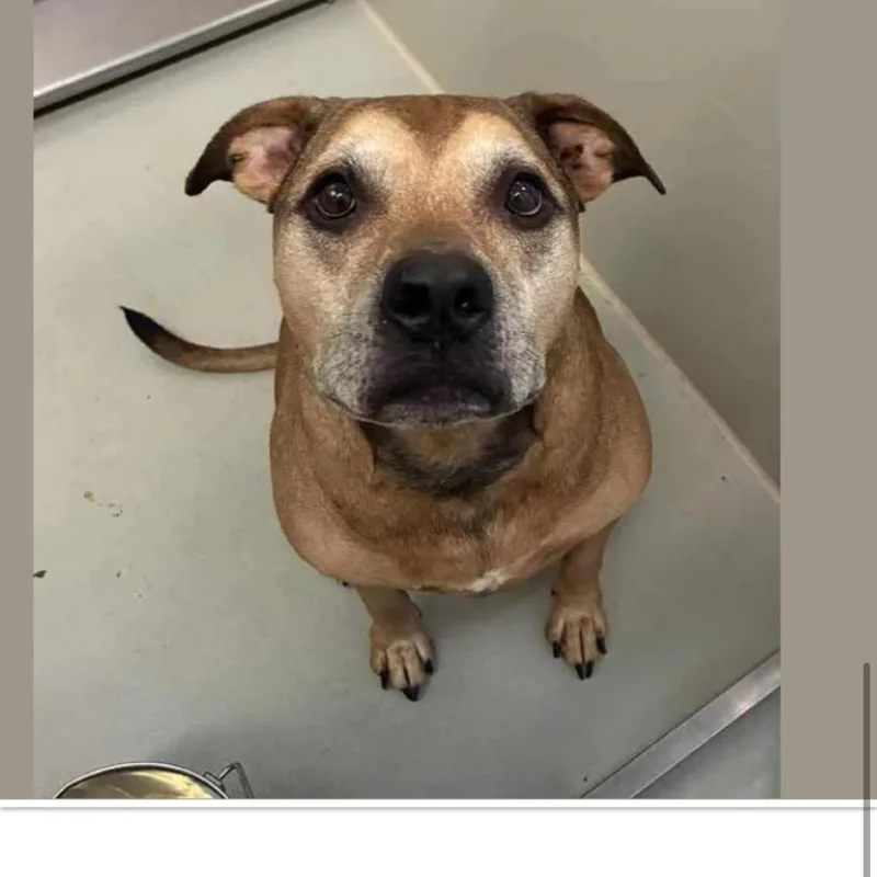 Brighton thumbnail 6